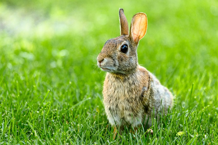 Istock 481510716
