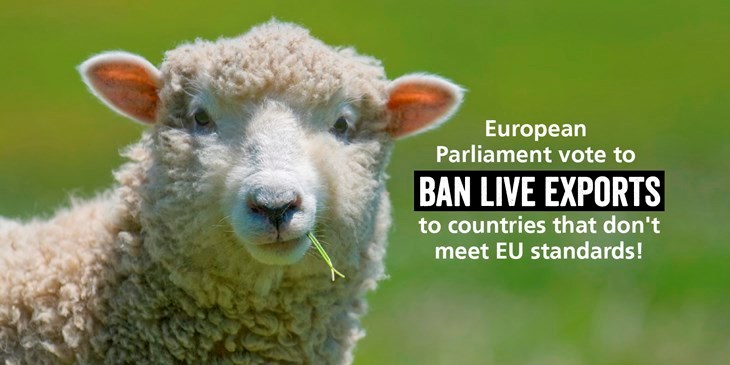Twitter Eu Transport Vote