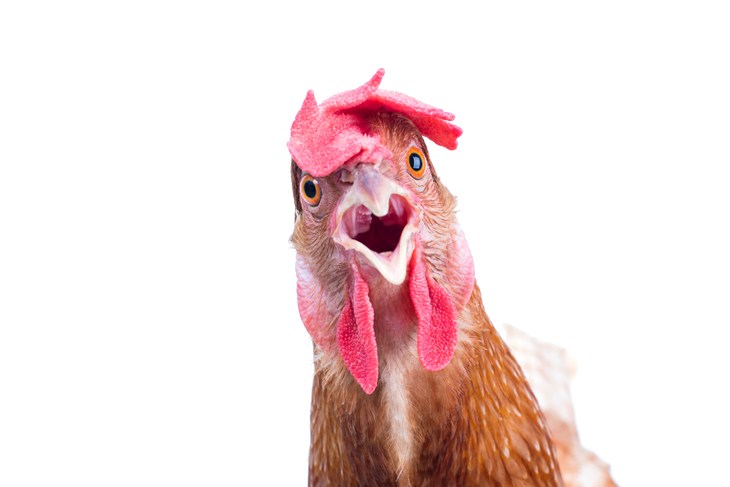 Istock 477375508