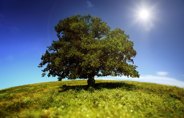 Istock 000014408068Xlarge