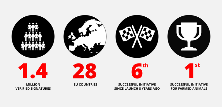 Infographic
