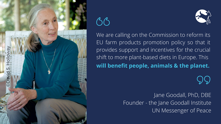 Social Media Visual With Jane Goodall Quote Food Promotion Letter