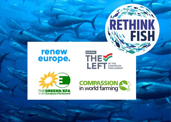 logos of the organizers