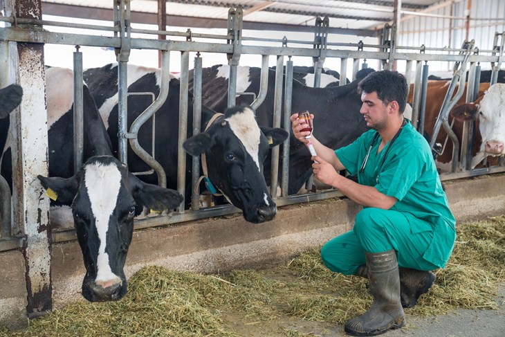antibiotics use in farm animals