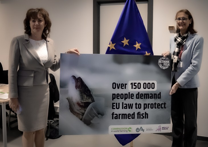 Fish Petition Handover, 5.12.2022